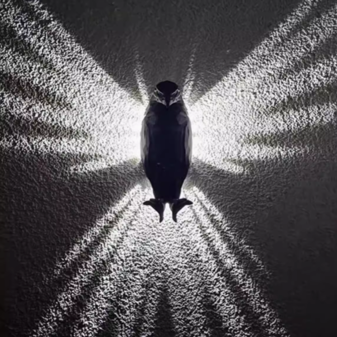 Winged Light Guardians